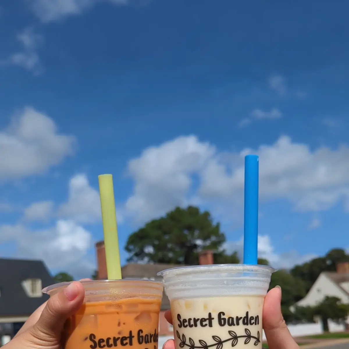 Thai Tea Mango Milk Tea