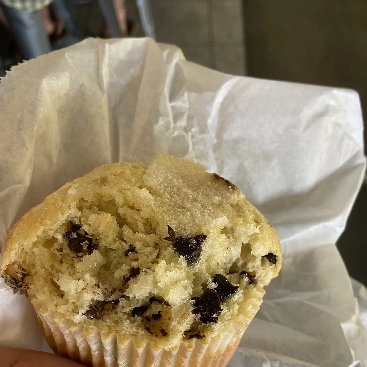 Blueberry Muffin