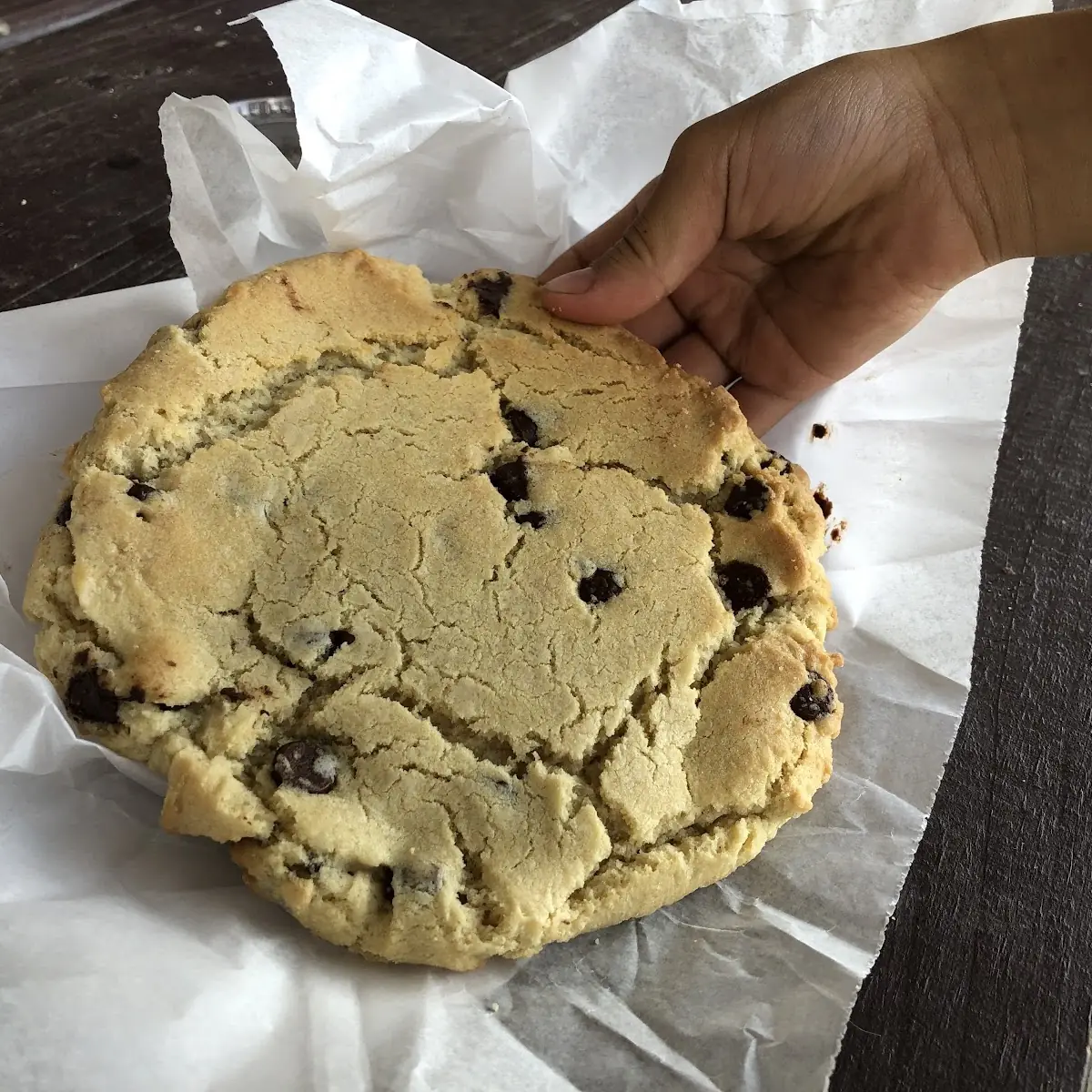 Chocolate Chip Cookie