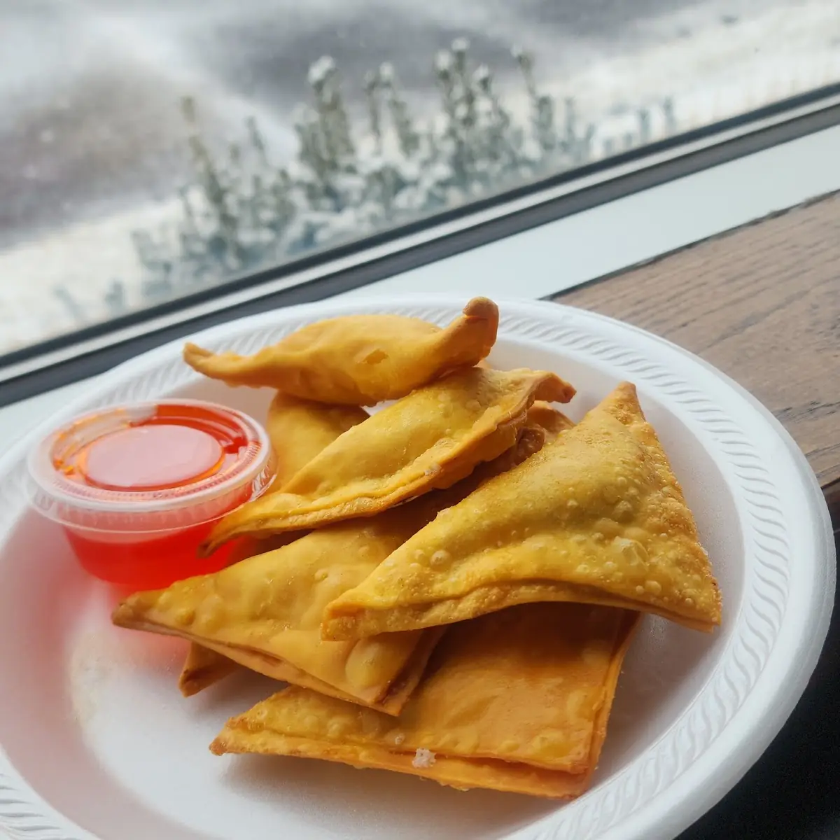 Fried Pork Wonton 12