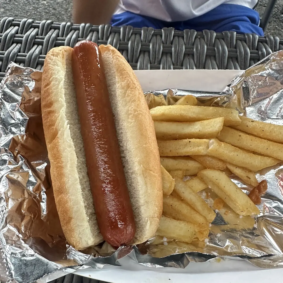 Hot Dog and Fries