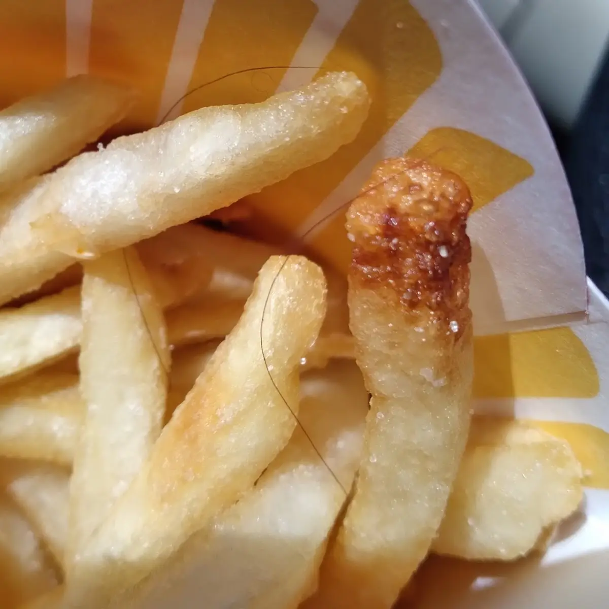World Famous Fries