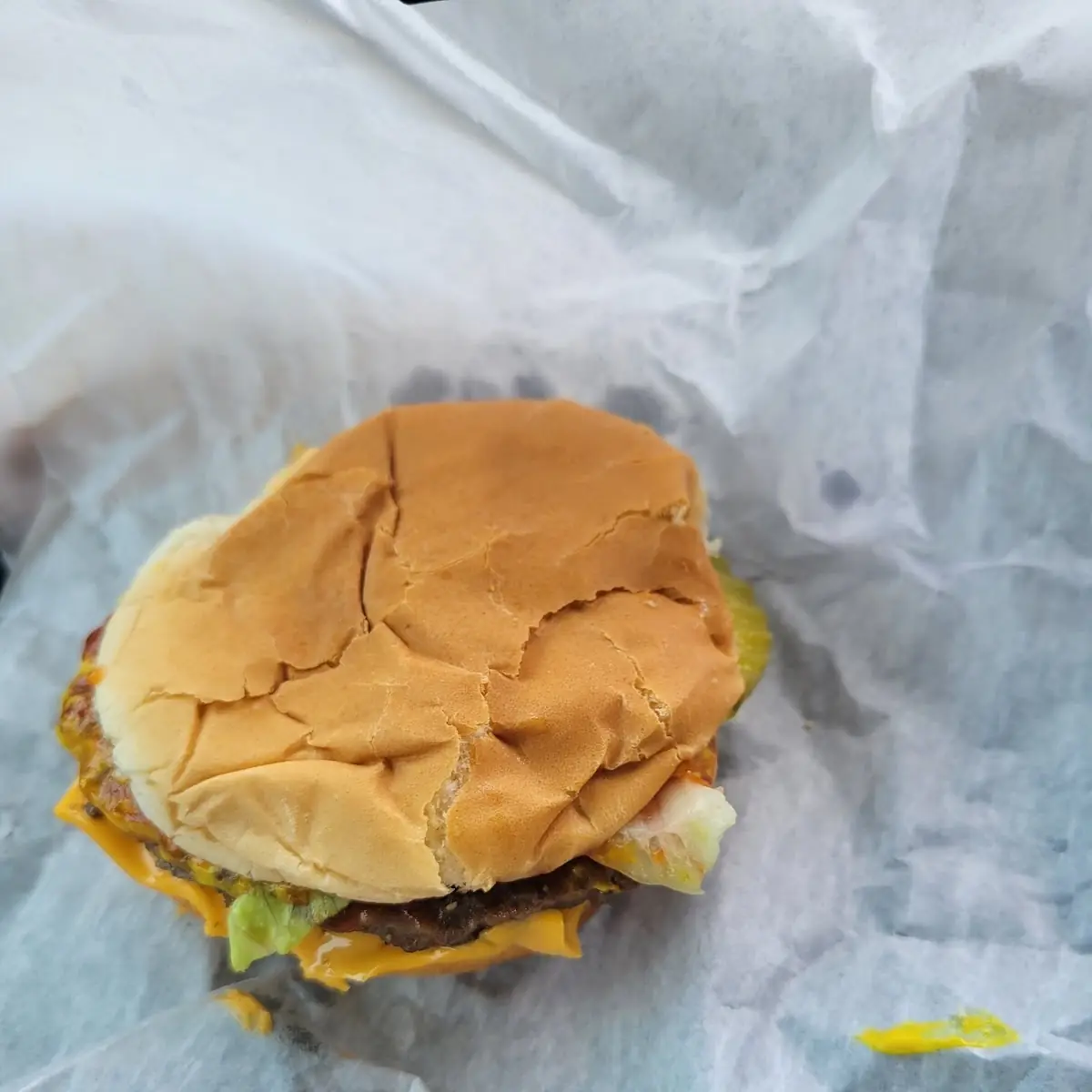 Double Cheese Burger