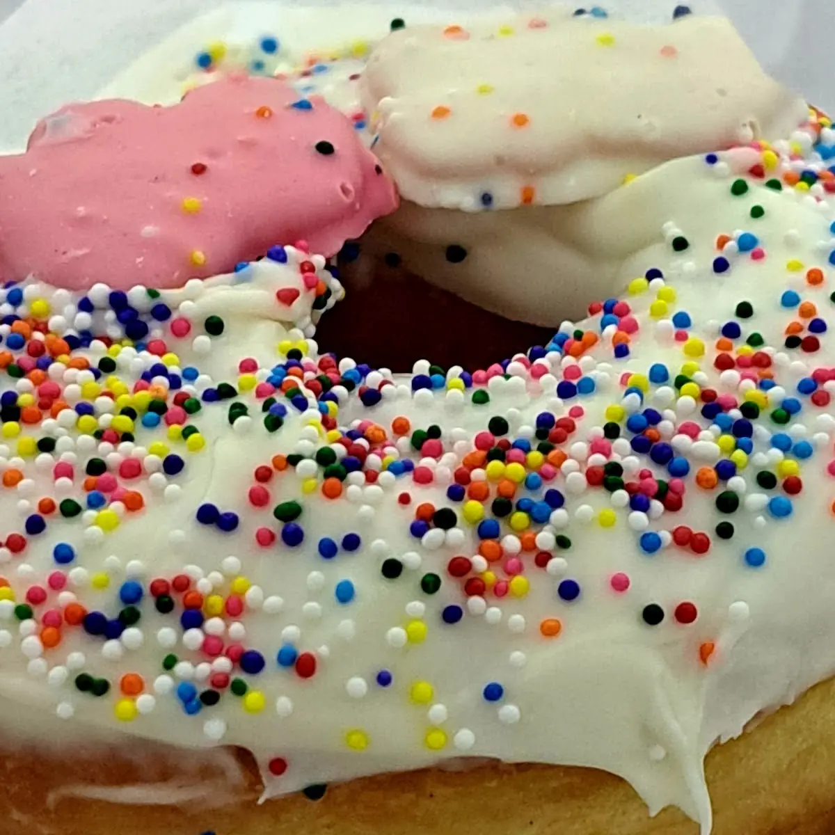 Frosted Donut