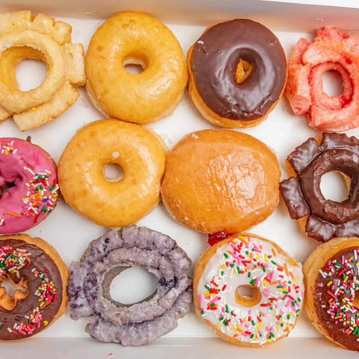 Doughnut