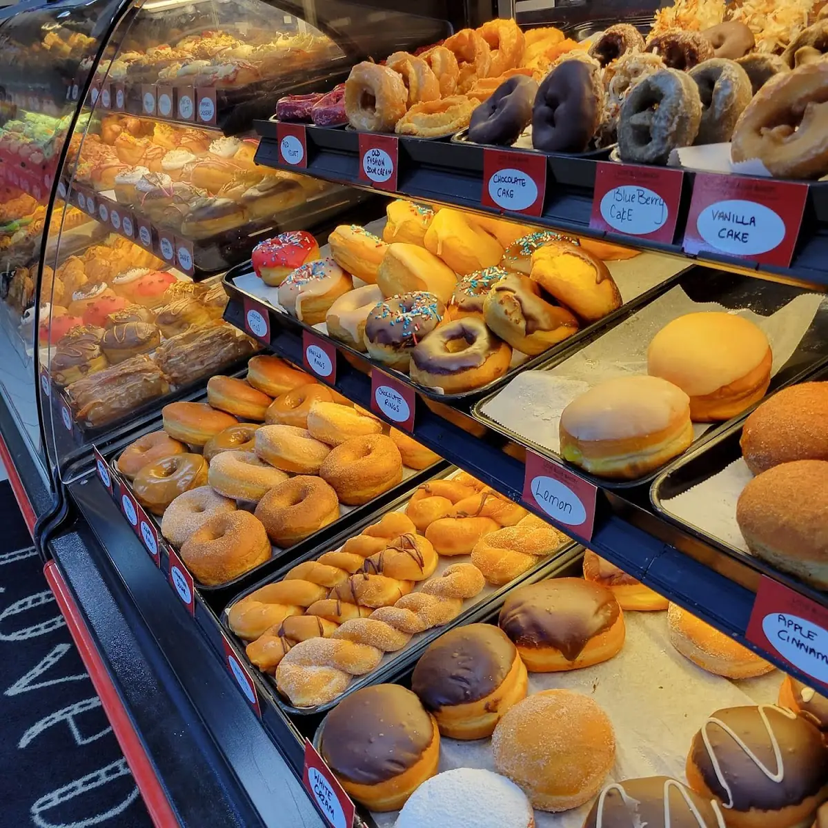 Regular Donut