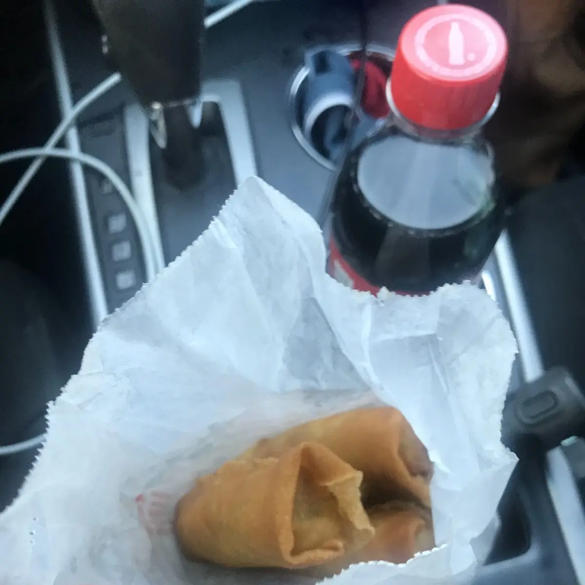 Veg Spring Rolls