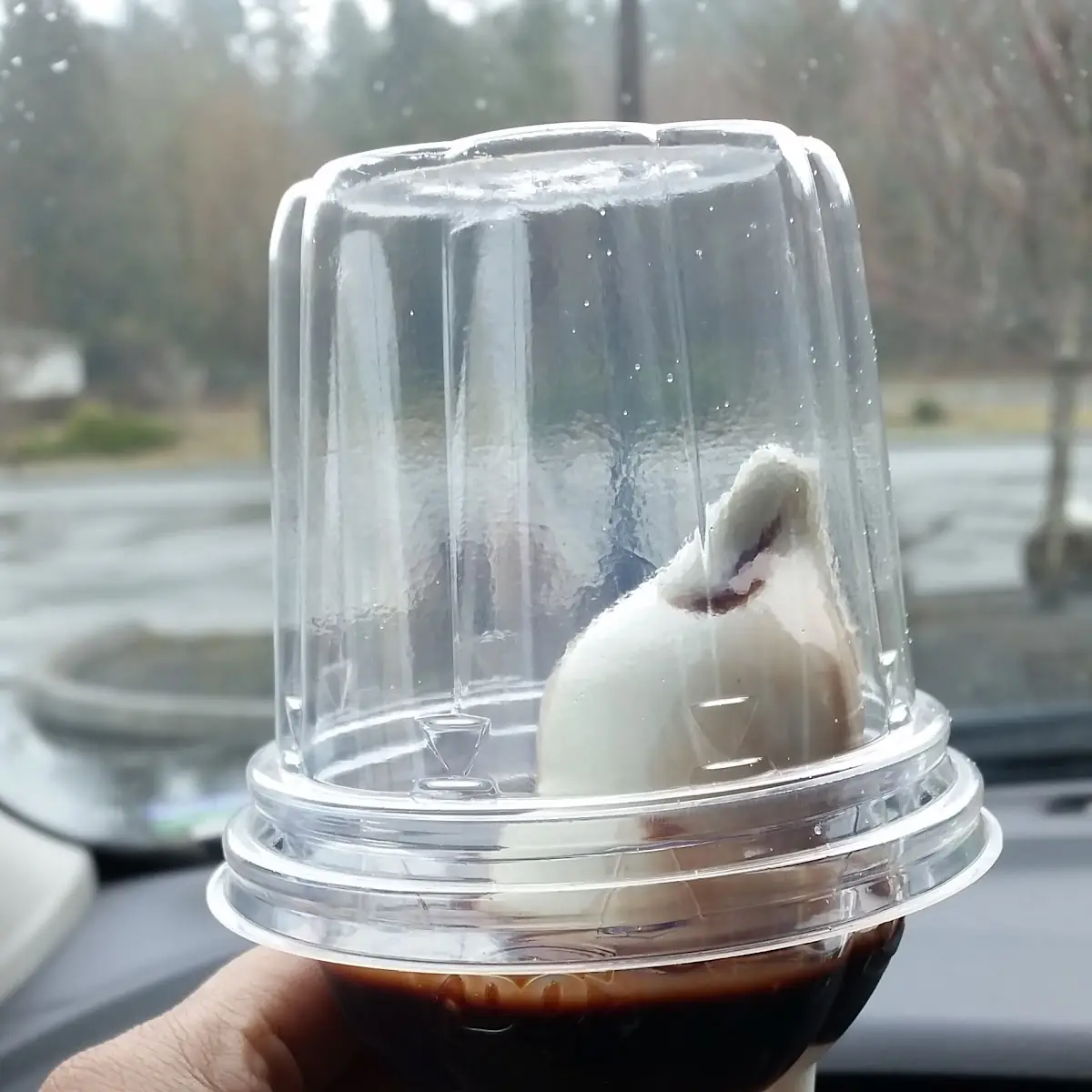 Hot Fudge Sundae