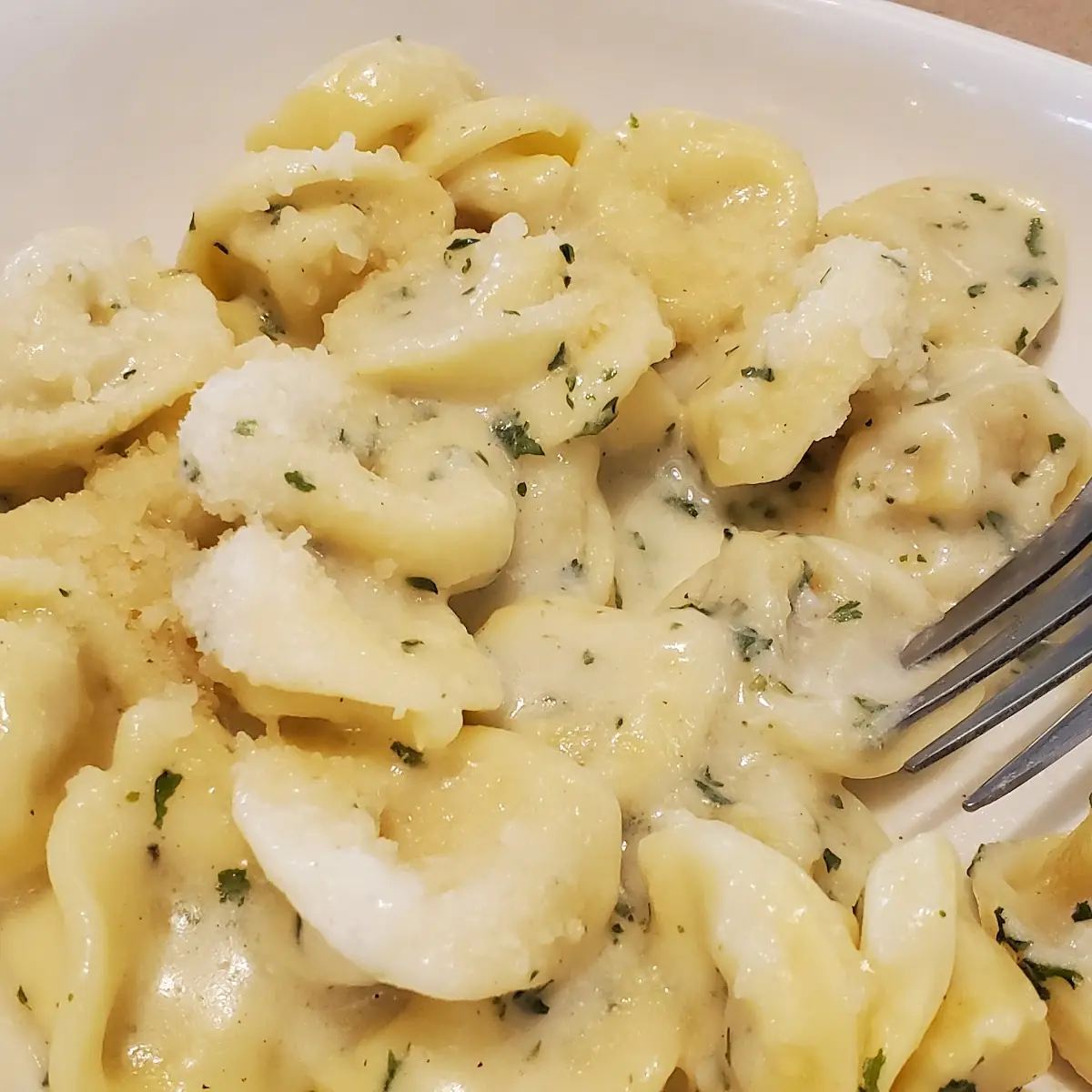 Alfredo Pasta