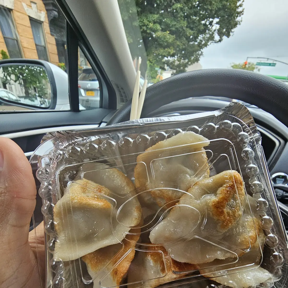 Pork Dumplings