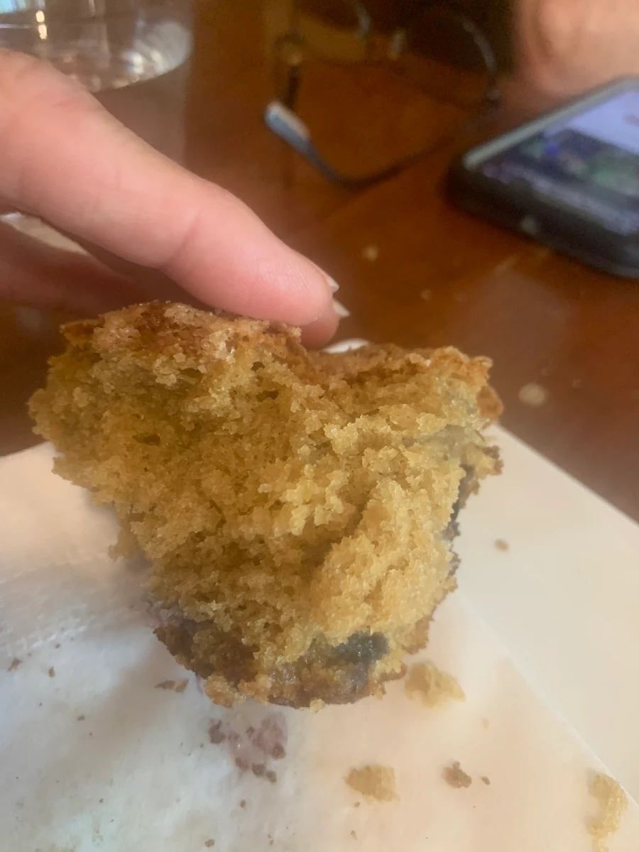 Blueberry Muffin