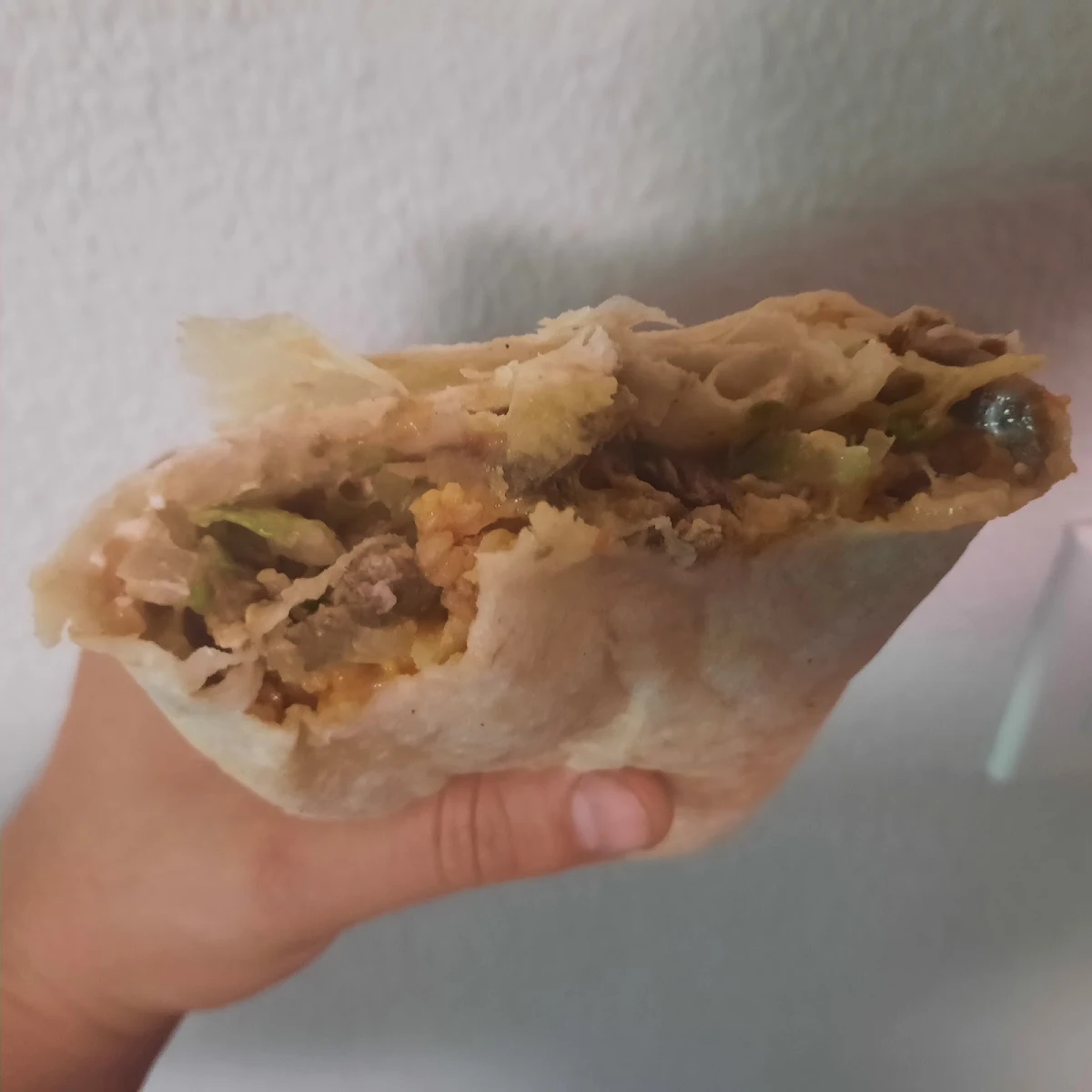 Carne Asada Burrito