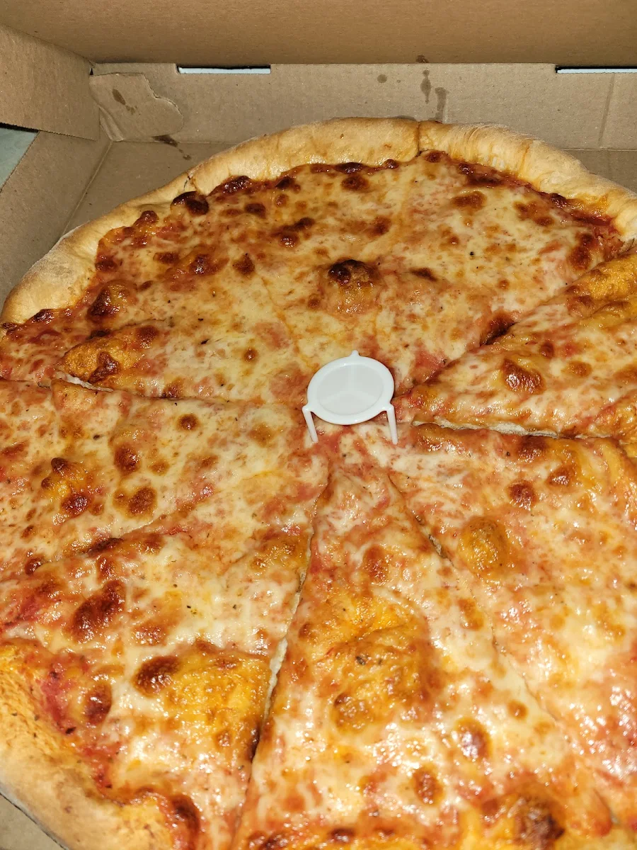 Plain Cheese Pizza