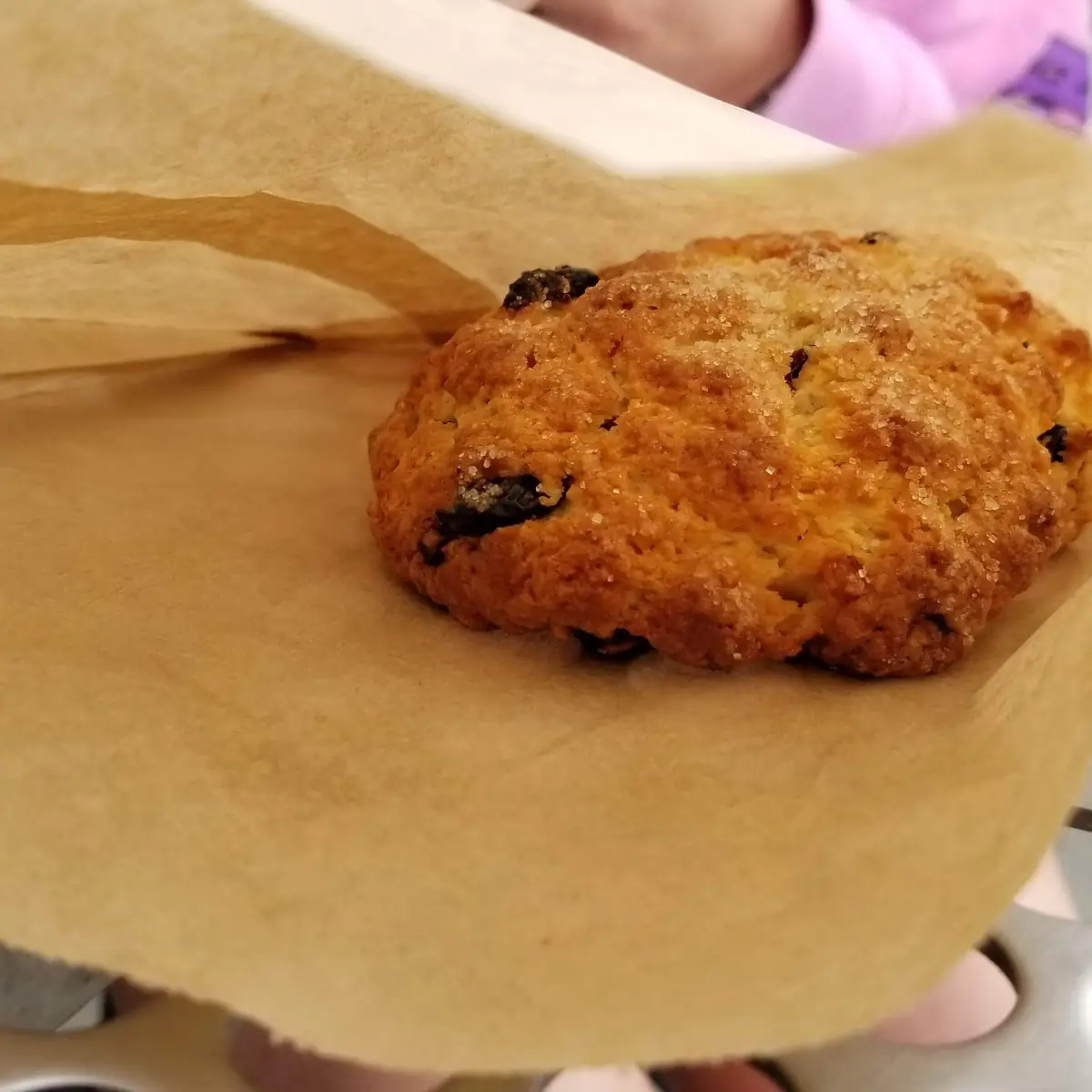 Oatmeal Raisin Cookie