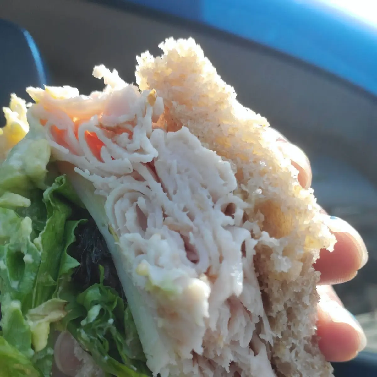Smoked Turkey Sandwich