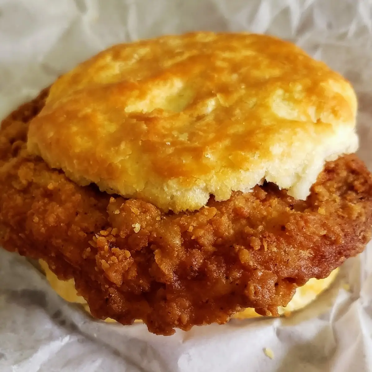 Pork Chop Biscuit