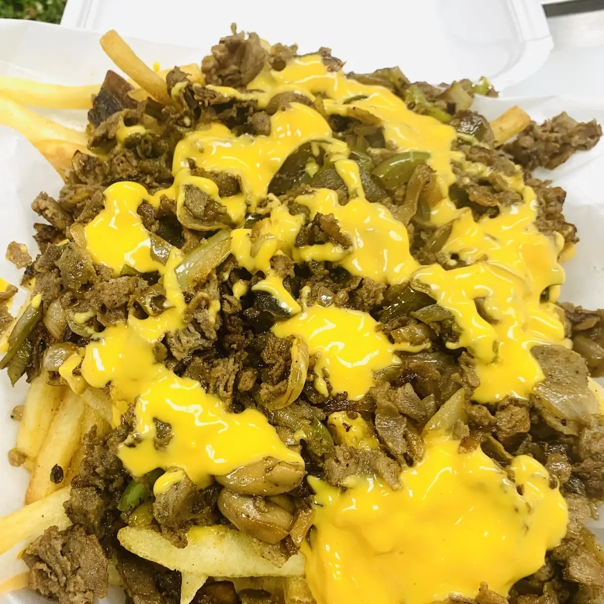 Carne Asada Fries