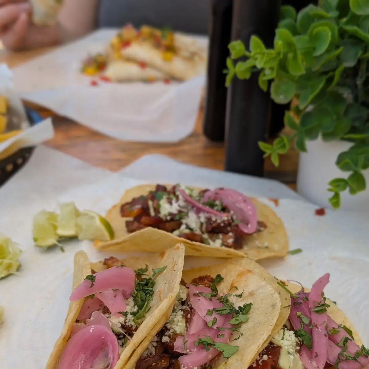Pork Belly Taco