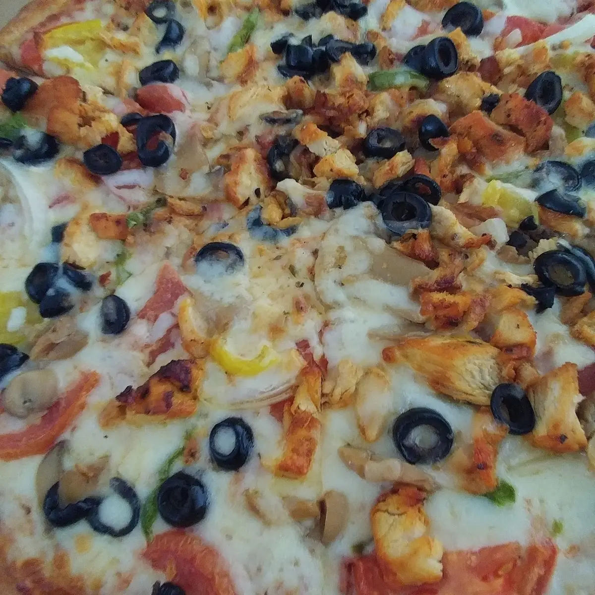 Vege and Chicken Pizza