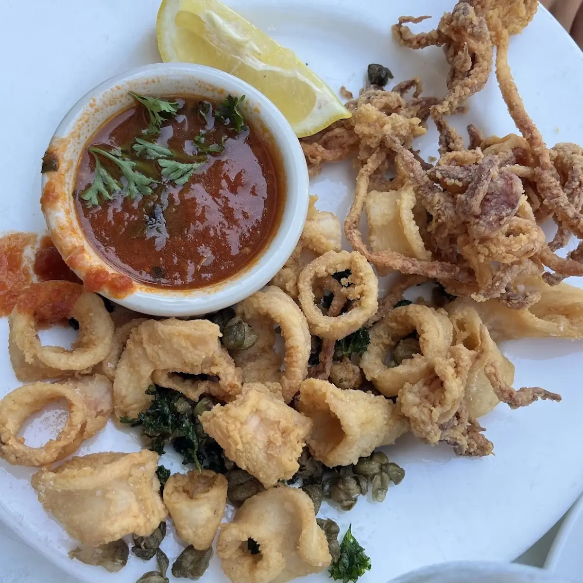 Calamari Fritti