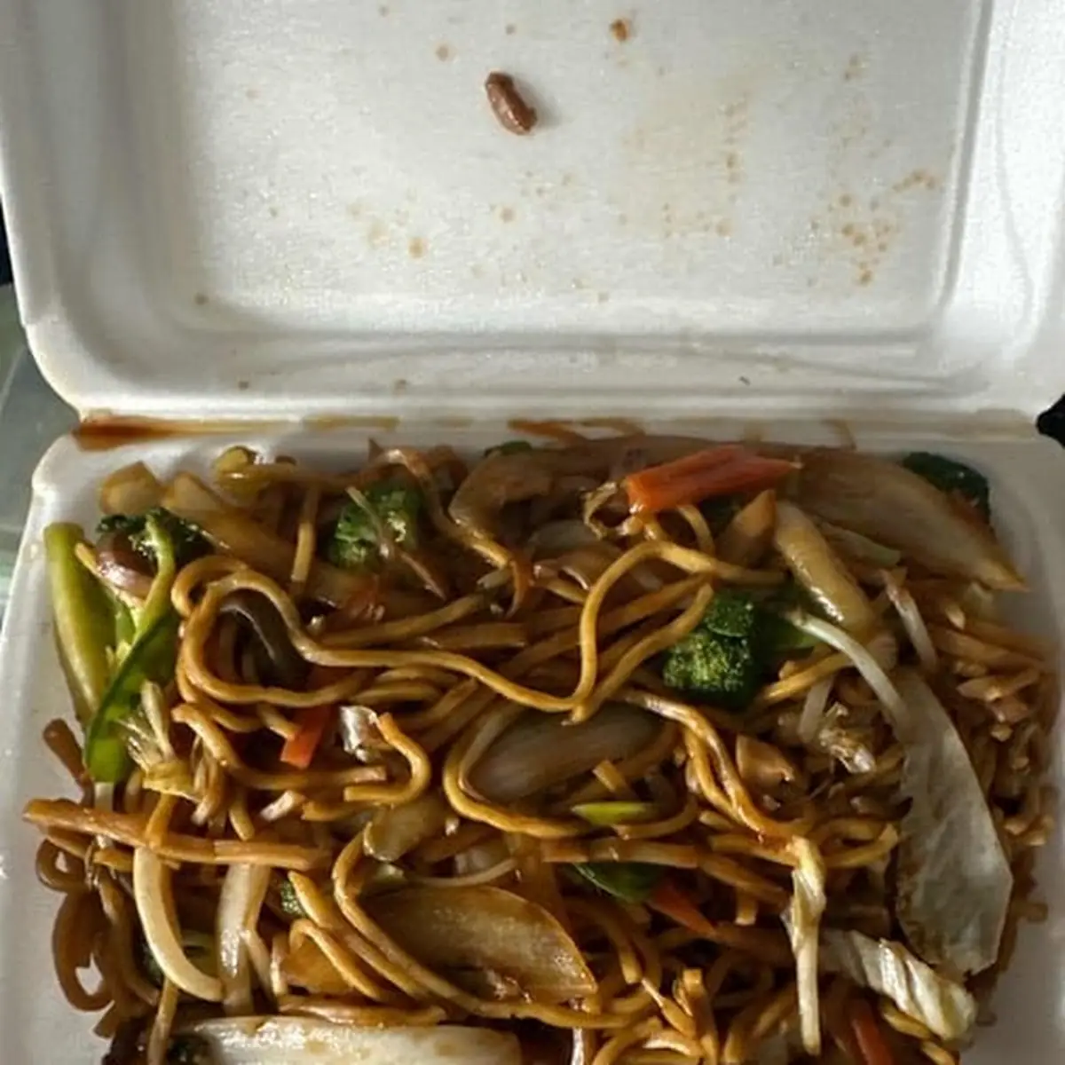House Special Chow Mein