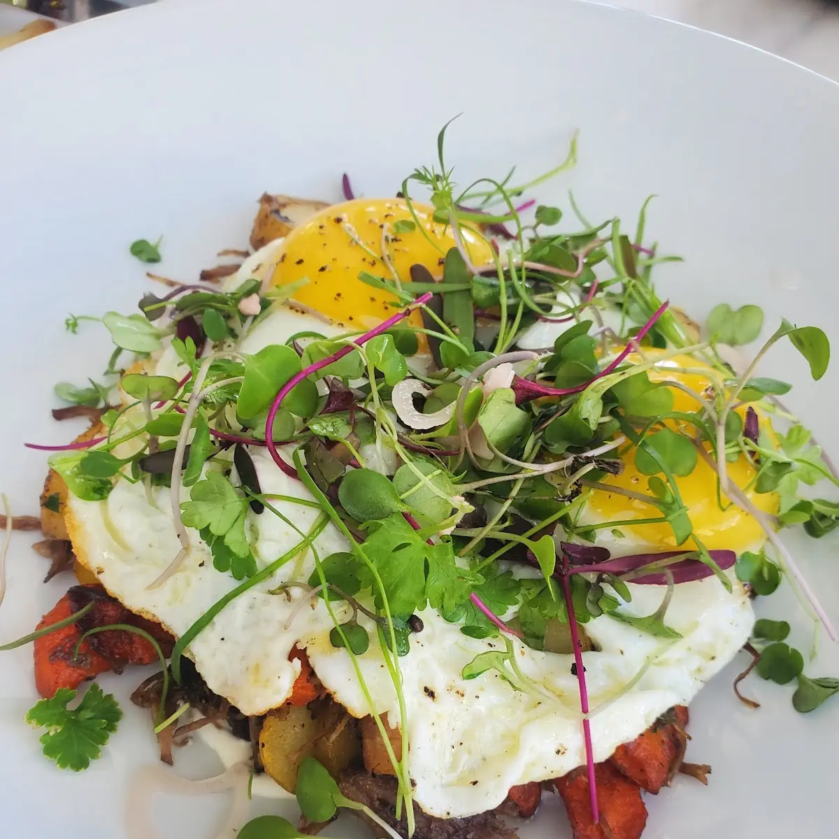 Short Rib Hash