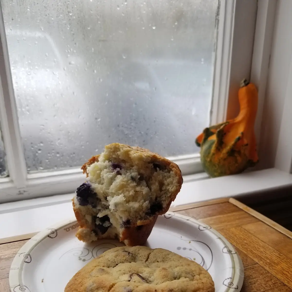 Blueberry Muffin