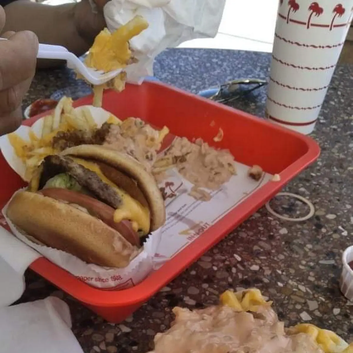 Animal Style Fries