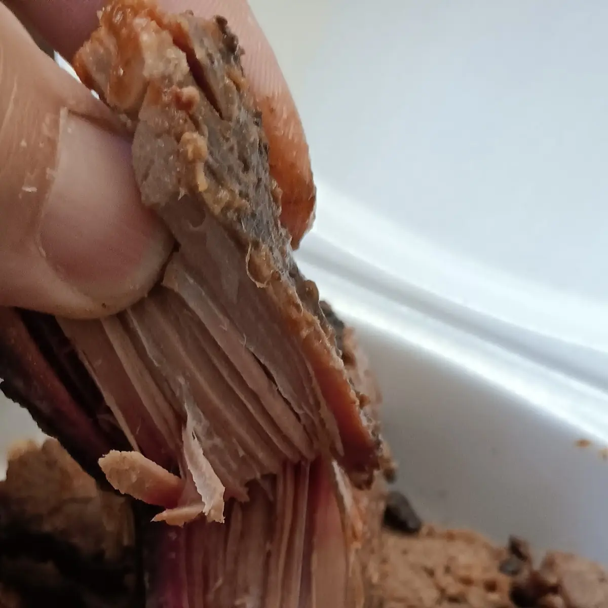 Friday Pulled Pork Spec