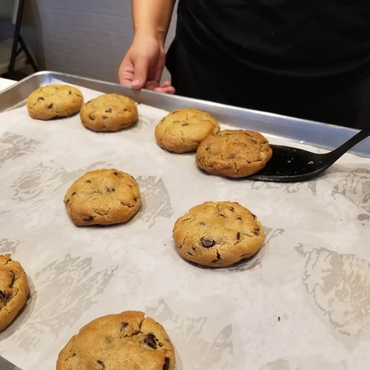 The Goodly General Chocolate Chip