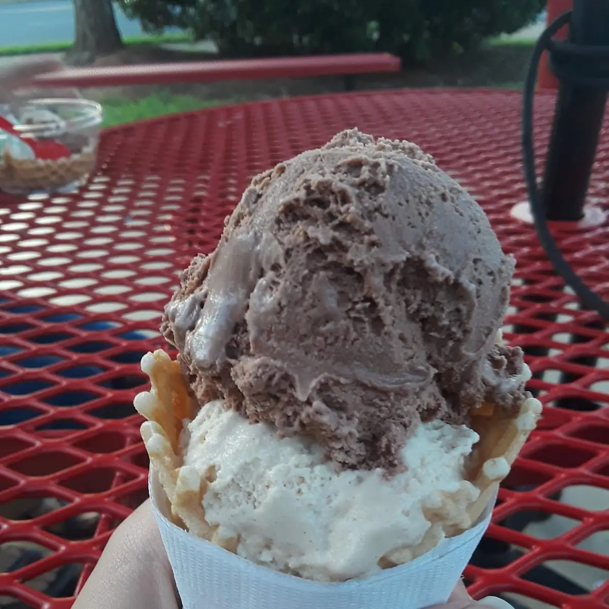 Gelato