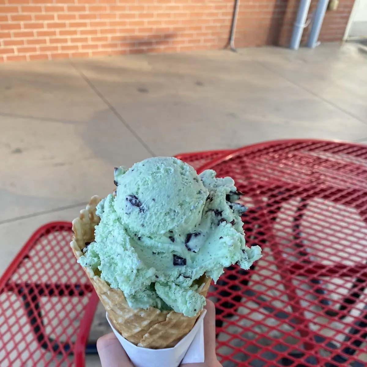 Mint Chocolate Chip