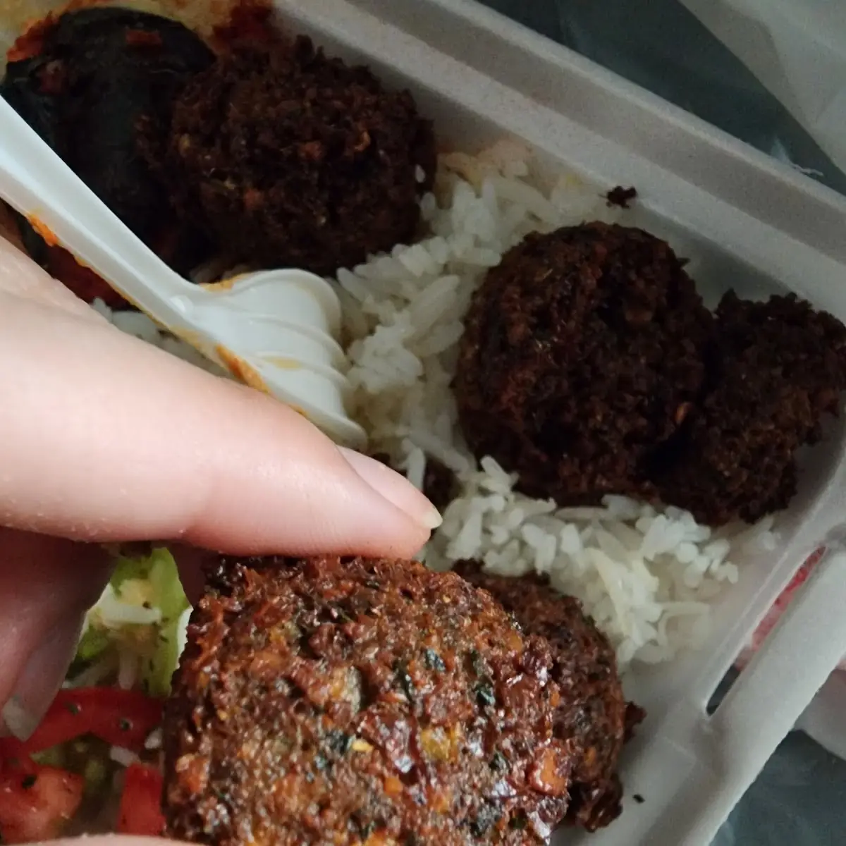 Falafel Plate