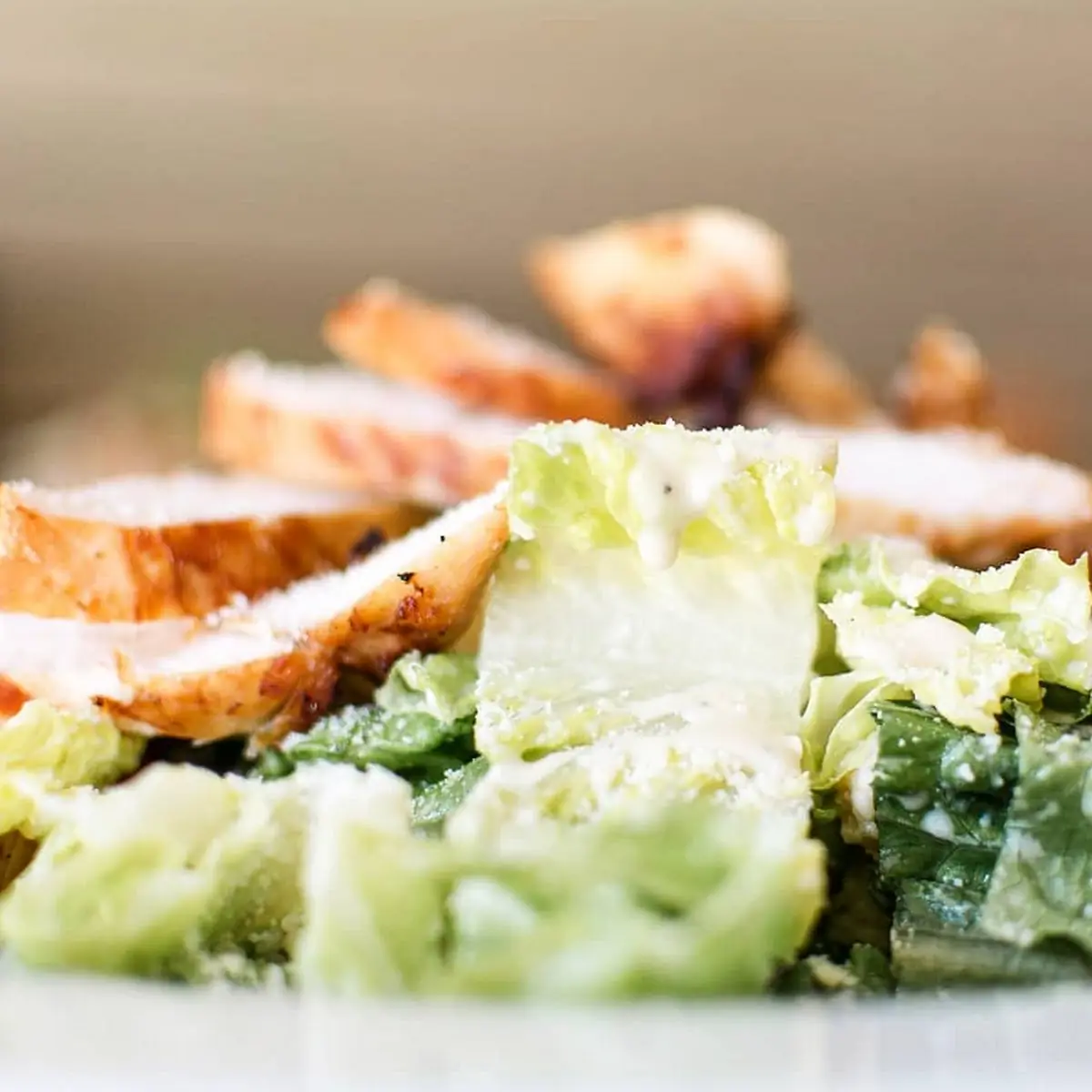 Roasted Chicken Caesar