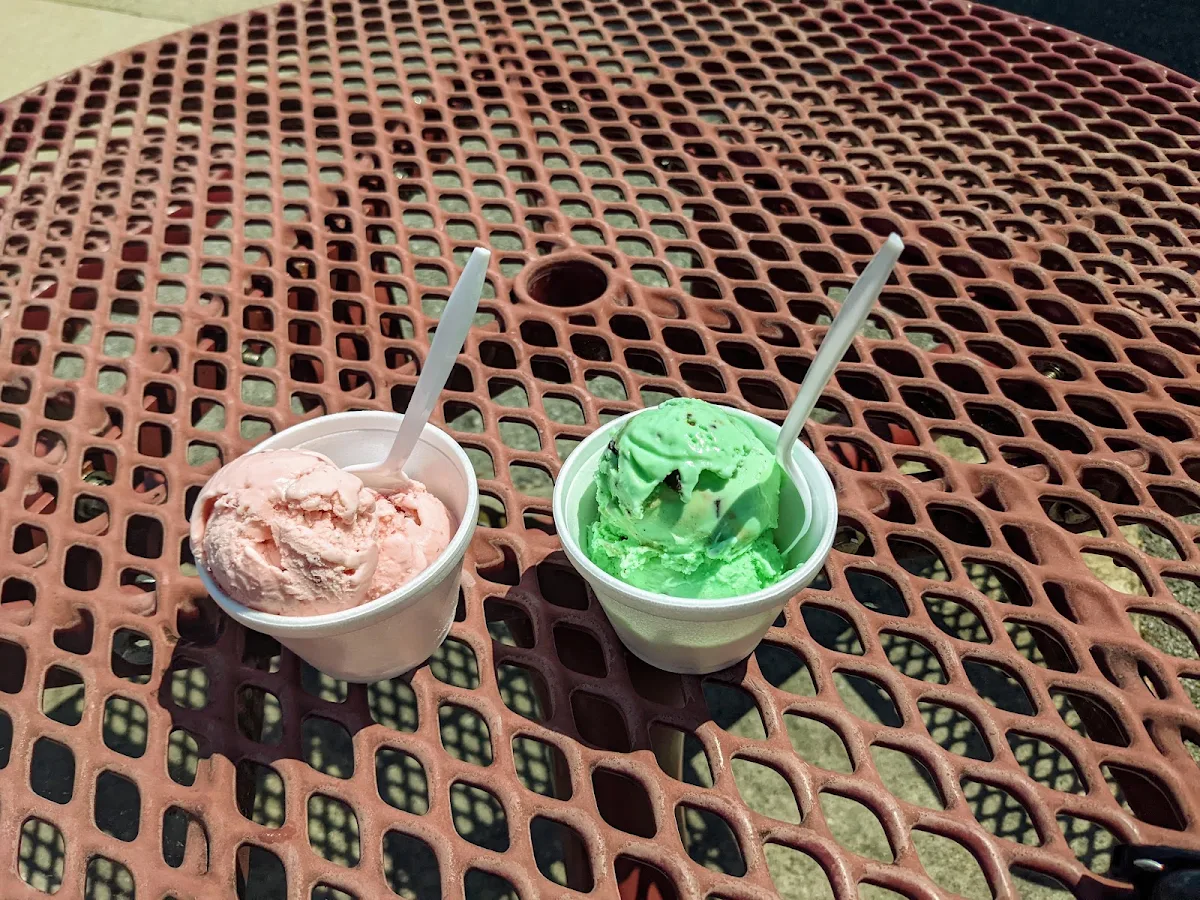 Strawberry and Mint Chocolate Chip Ice Cream