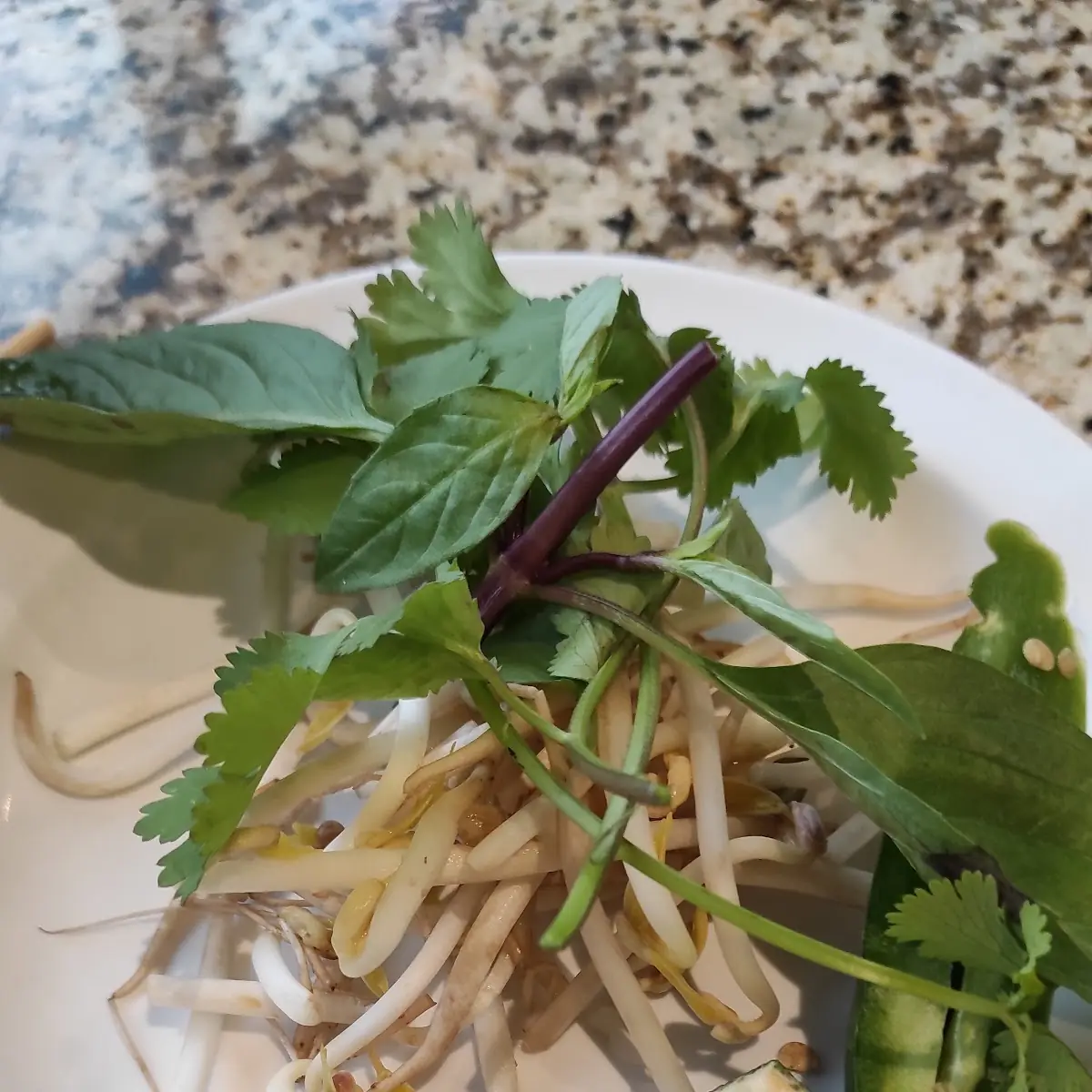 Pho with Meat