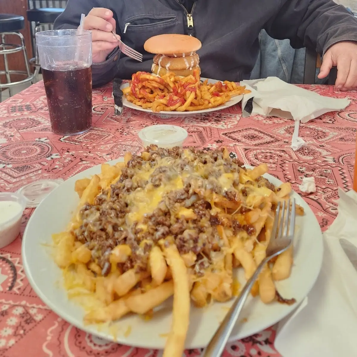 Sloppy Fries