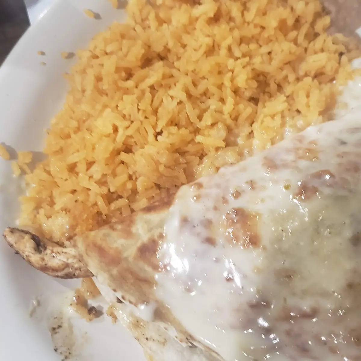 Special Quesadilla