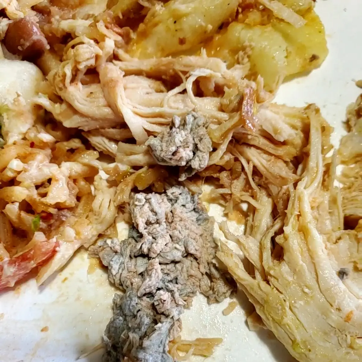 Pulled Pork