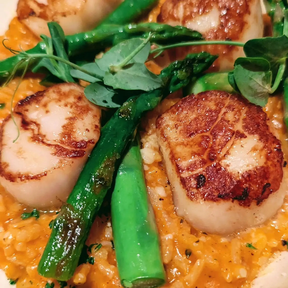 Red Pepper Risotto