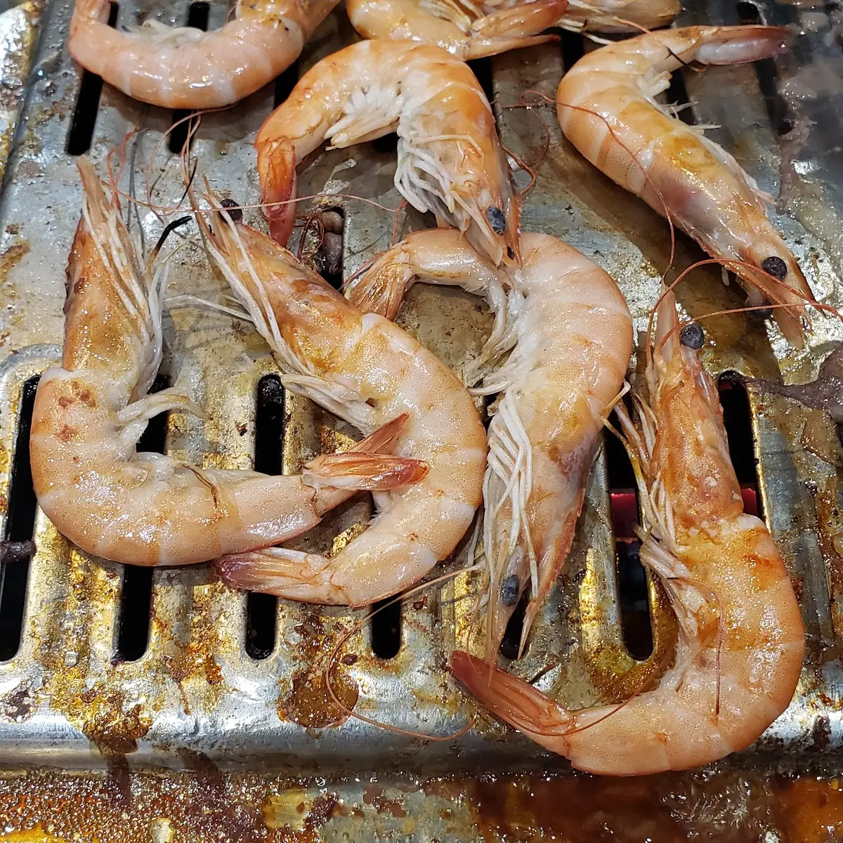 Grilled Shrimp