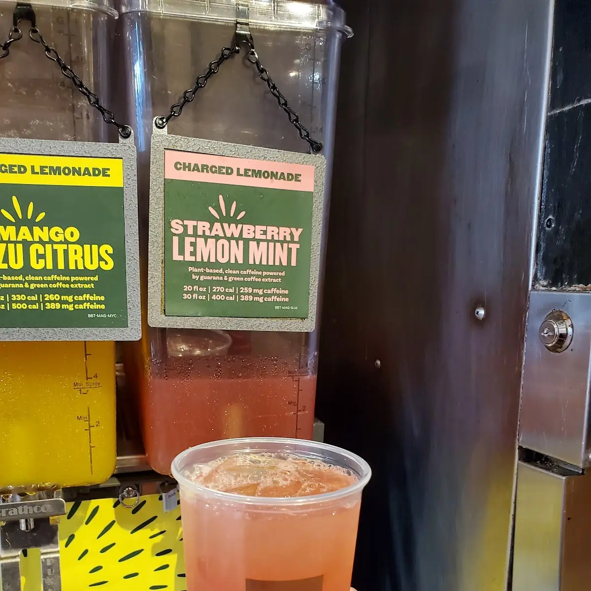 Passion Papaya Iced Green Tea - Half Gallon