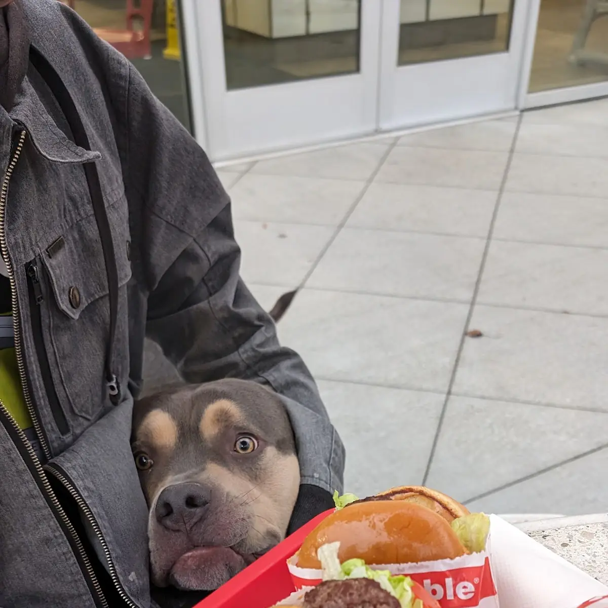 Double Double Cheeseburger Combo