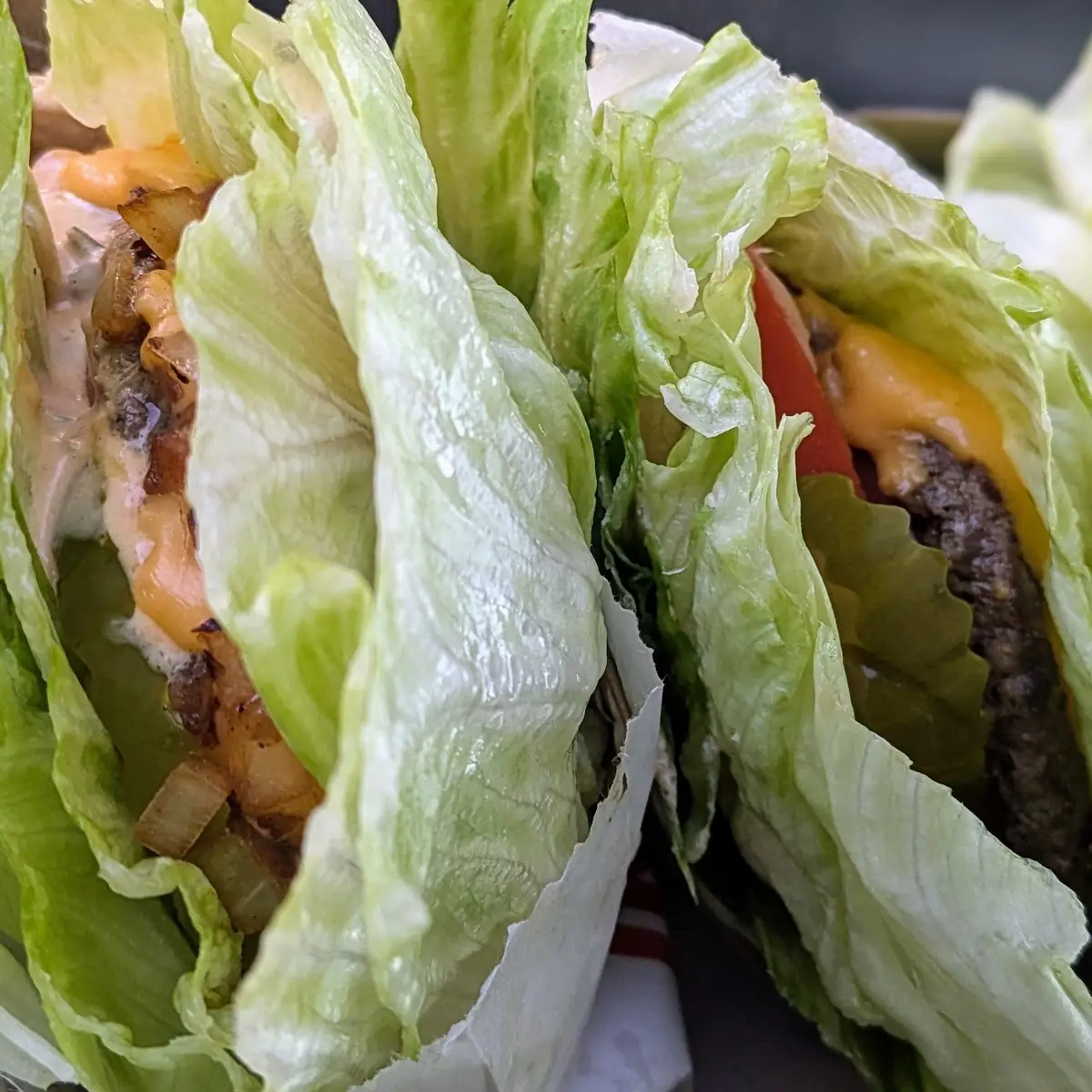 Protein Burger