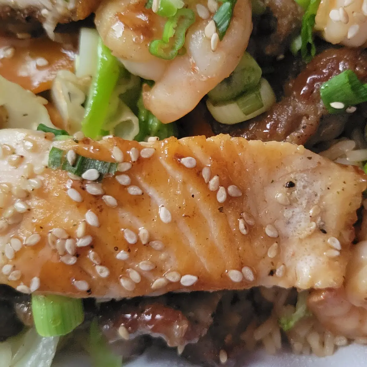 Salmon Shrimp Hibachi Steak