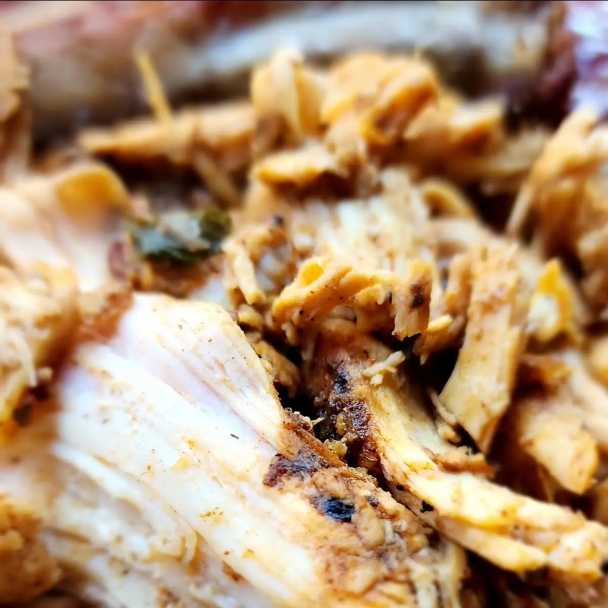 Pulled Chicken