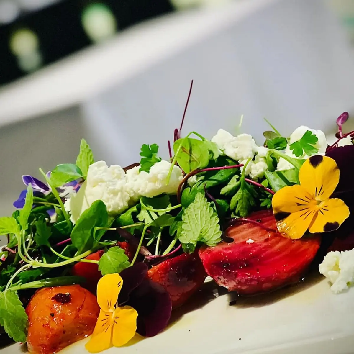 Rainbow Beets with Goat Cheese and Micro Greens