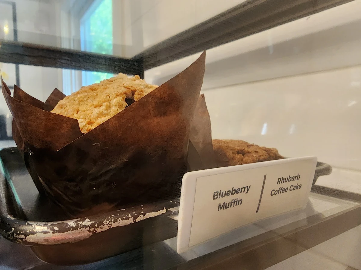 Blueberry Muffin
