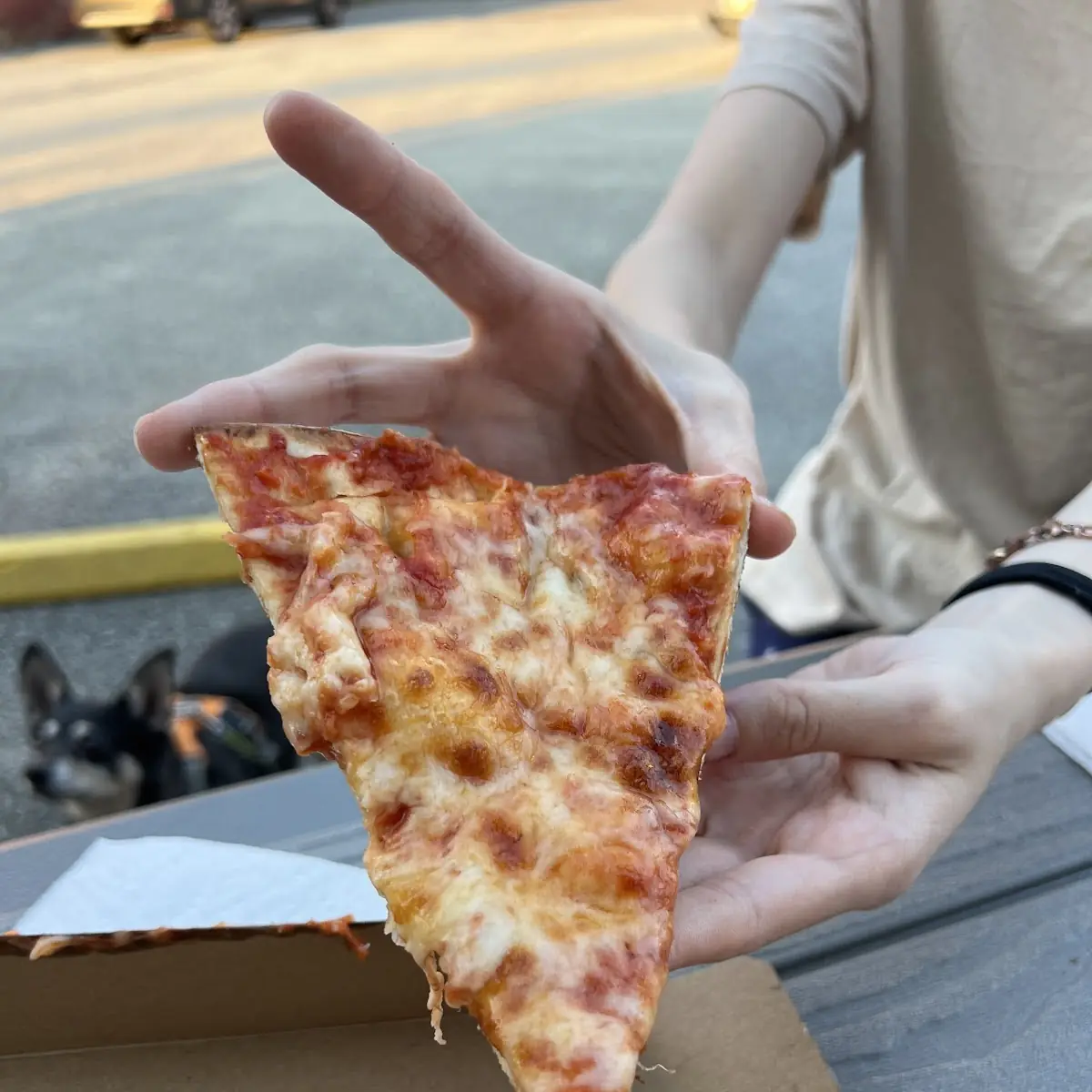 Slice of Pizza