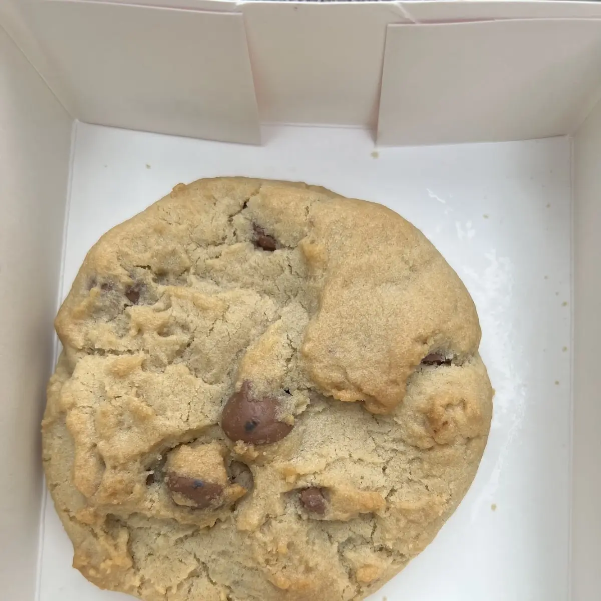 Chocolate Chip